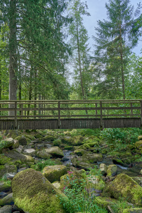 Gemeinde Waldkirchen Landkreis Freyung-Grafenau Saußbachklamm (Dirschl Johann) Deutschland FRG